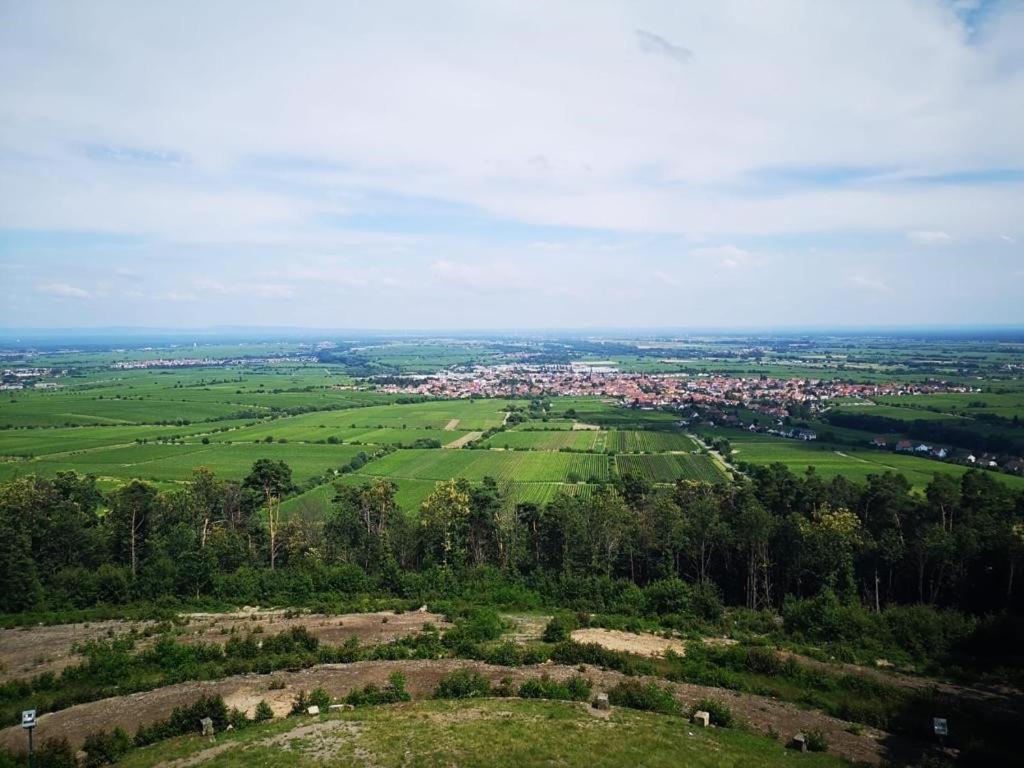 Wohnen Im Herzen Der Pfalz Нойштадт-ан-дер-Вайнштрасе Экстерьер фото
